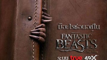 ทรู ปิดโรงภาพยนตร์ True 4DX ให้ลูกค้าทรูมูฟ เอช รับสิทธิ์ชมภาพยนตร์ Fantastic Beasts : The Crimes of Grindelwald ฟรี!!! กว่า 600 ที่นั่ง